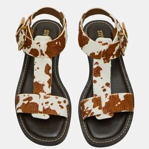 NWT | Steve Madden Brazinn | Brown Cow Print Sandals with Gold Buckles